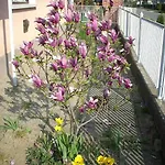 Bundics Vendeghazak Bed & Breakfast 3*