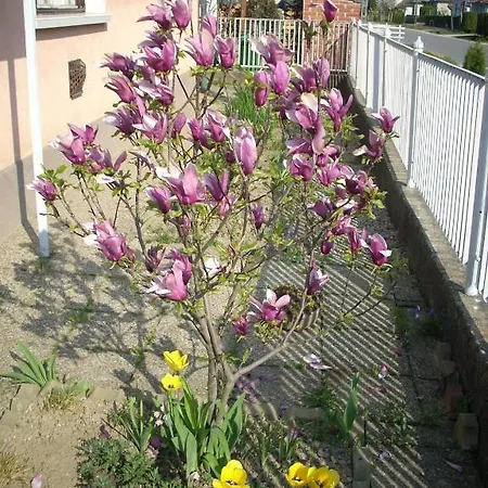 Bundics Alojamento de Acomodação e Pequeno-almoço 3*